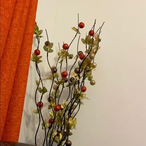 Meet your Posher, Rose